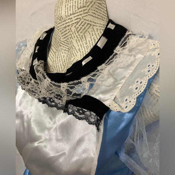 Alice in Wonderland Juniors costume dress - Picture 7 of 12